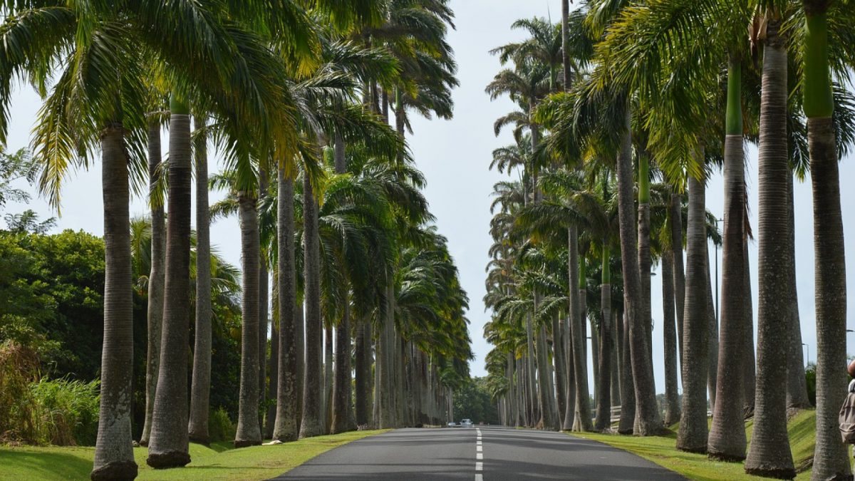 Voyage à Marie Galante