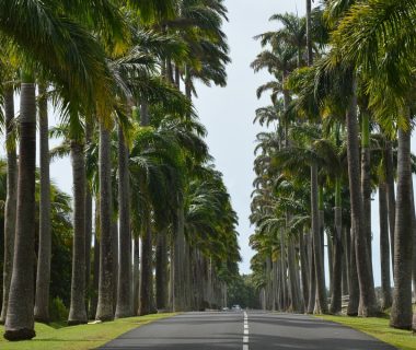 Voyage à Marie Galante