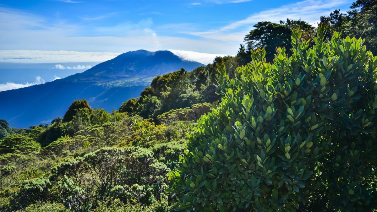 Découvrez les magnifiques paysages de la Costa Rica lors d'un circuit pour votre lune de miel !