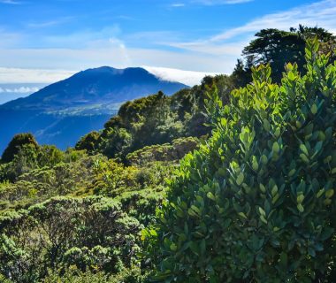 Découvrez les magnifiques paysages de la Costa Rica lors d'un circuit pour votre lune de miel !