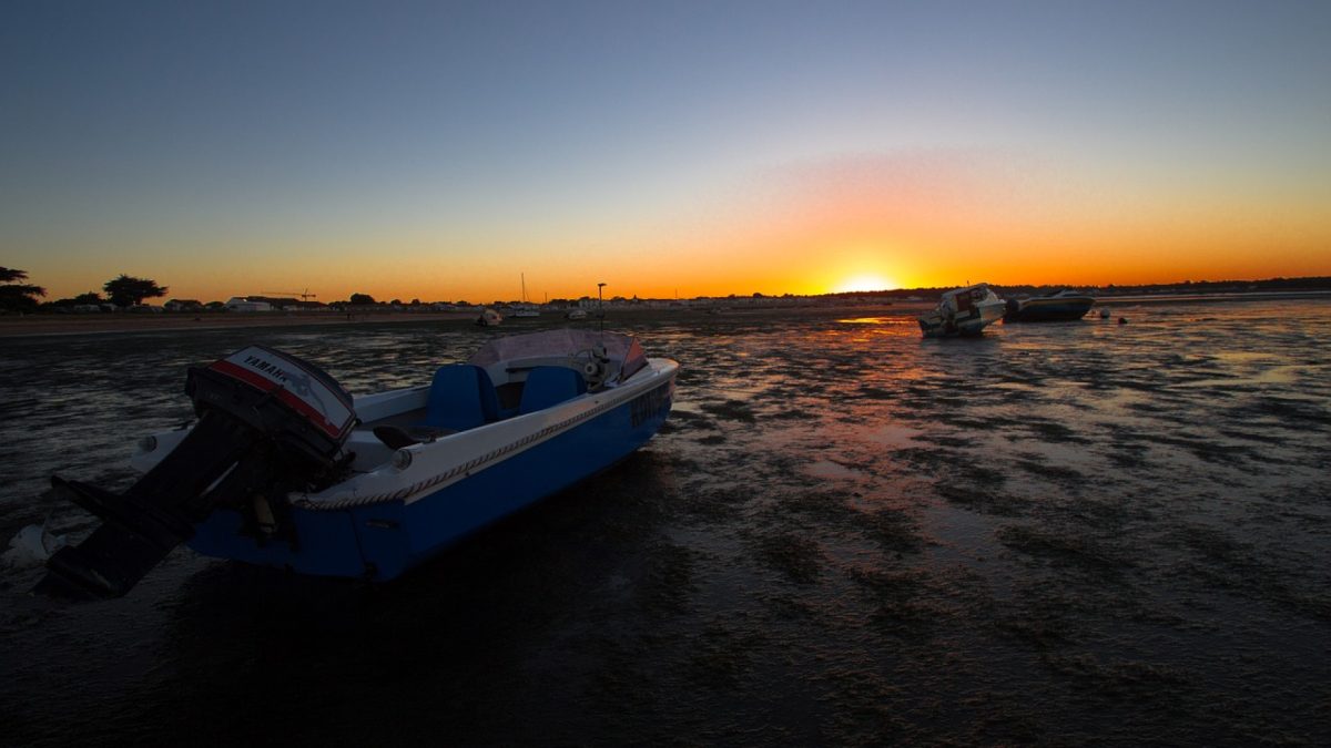 Le camping sur l'Ile de Ré, un coin de paradis pour vos vacances !