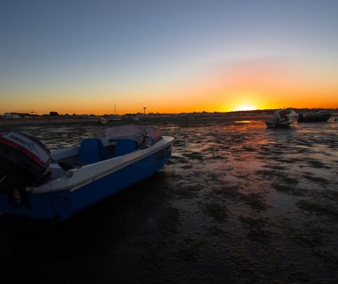 Le camping sur l'Ile de Ré, un coin de paradis pour vos vacances !