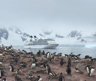 Explorer l'Antarctique : pourquoi une croisière est l'aventure ultime ?