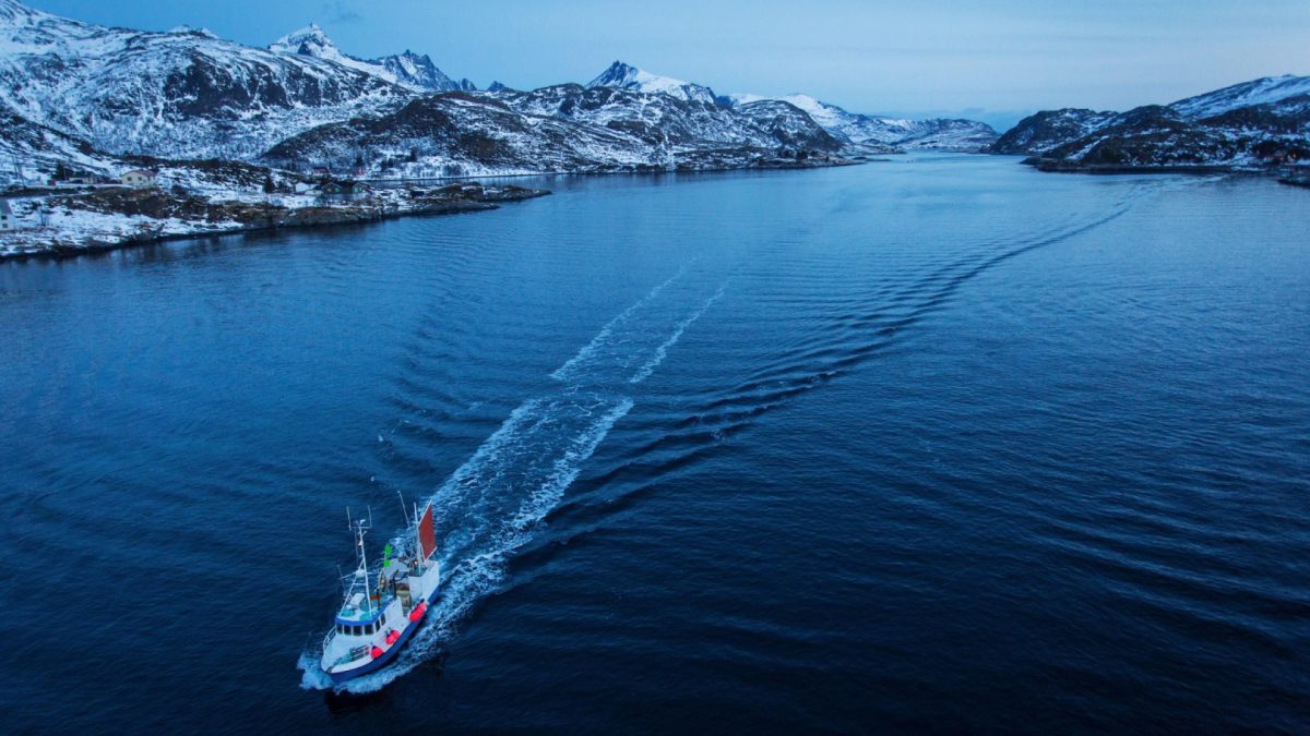 Quand partir en croisière en Antarctique ? Saisons et conditions à connaître