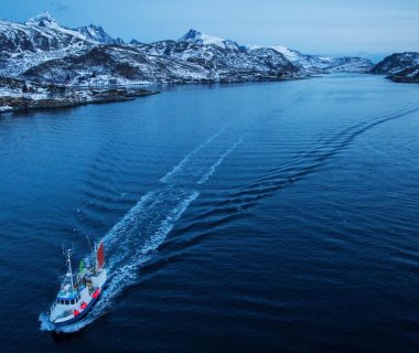Quand partir en croisière en Antarctique ? Saisons et conditions à connaître